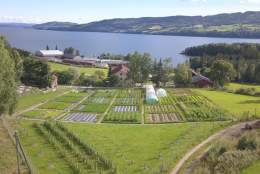Vårmarked
