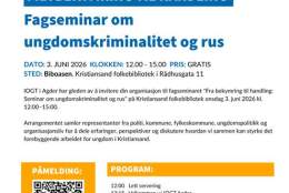 Fra bekymring til handling: Fagseminar om ungdomskriminalitet og rus