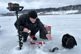 GoFishing - fiskeguide