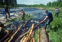 Tømmerfløtinga – en reise i bilder