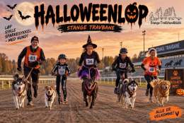 Halloweenløp på Stange travbane