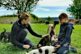 Sjusjøen Husky Tours