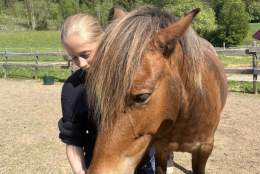 Gratis sommerleir for barn og unge i Stange kommune