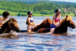 Opplevelser på hesteryggen - Mesna Opplevelser & Overnatting