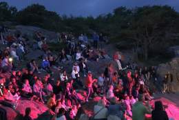 "Stangholmen Live "