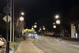 Åpning av jul i Vanse City