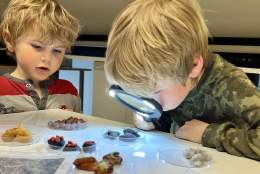 Påskemysteriet: Oppdrag Gullegg!