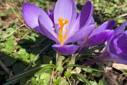 Påskemarked på Kulturfabrikken