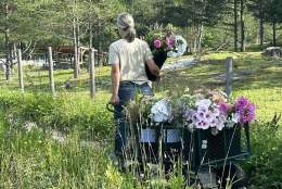 Gartnerfaglig inspirasjonsdag