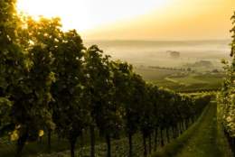 Italiensk aften - en reise gjennom Italia