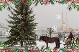 Tur med hest og vogn