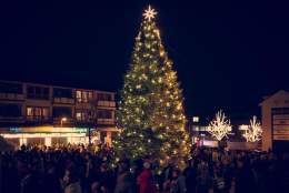 Julegrantenning og julemarked i Moelv