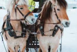 Guidet tur med hest i Åseral