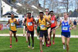 NM Terrengløp kort løype 2026