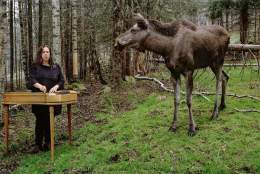 Festkonsert på Finnskogen med KORK og Sinikka Langeland Ensemble