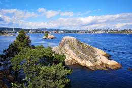 Odderøya