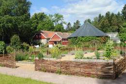 Omvisning om kloster- og ballastplanter