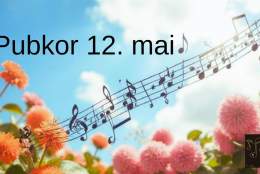Korpub