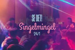 Singelmingel på Se Det!