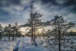 Gjøvik - Folkehelseløypa Sjeip-øpp - Turløype på Øverby
