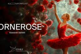 Tornerose // Classical Ukrainian Etoile Ballet @ Arendal Kulturhus