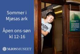 Sommer i Mjøsas ark