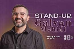 Galvan Mehidi på Se Det! Pianobar