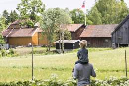 Mjøsmuseet
