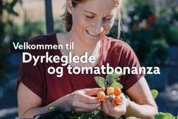 Dyrkeglede og tomatbonanza