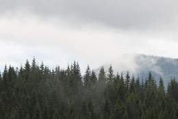 Tuula Eskeland: Stedsnavn på Finnskogen