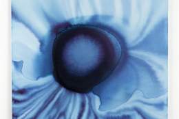 Utstilling: “Hidrasangen” Martin Skage Møhlen Bakken