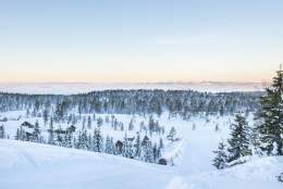 Lygnalia Hytter - Hytter på Lygna