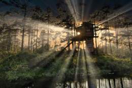 TreeTop Fiddan - Trehytter i Konsmo