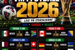 Fotball VM