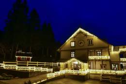 Bygdejolebord med live musikk