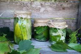 Markens grøde – fra jord til bord