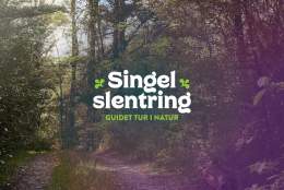 Singel slentring - Guidet tur i natur
