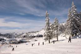 Skibuss fra Kristiansand til Bortelid skisenter