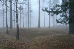 Skummel vandring i gravfeltet - Veien kulturminnepark