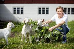 Kunstmarked og gårdsopplevelse