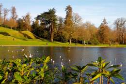 Claremont Landscape Garden