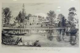 Archaeology of Bourne Hall | Surrey Day
