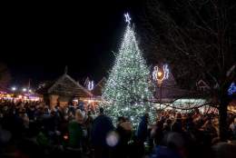Cranleigh