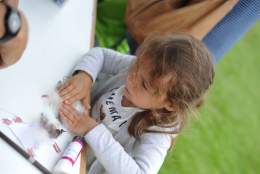 Wild Craft Wednesday | Winkworth Arboretum National Trust