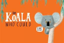 The Koala Who Could | Dorking Halls