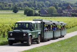 Denbies Mother's Day Gallery Brunch, Bubbles & Outdoor Vineyard Tour