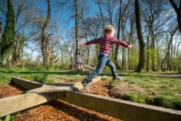 Wild Learning Holiday Club | Claremont Landscape Garden