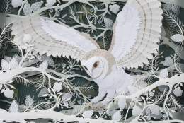 Anna Cook: Cut from Nature