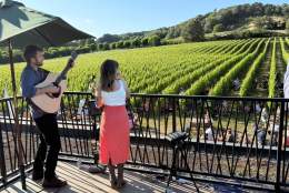 Chilworth Manor Vineyard Wine Festival