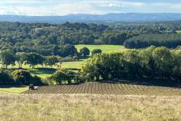 Surrey Hills Nature & History - Guided Walk with Accommodation